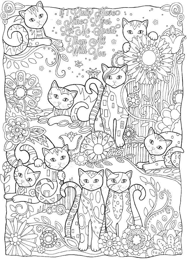 Coloring Coloring antistress. Category coloring antistress. Tags:  patterns, shapes, antistress, cats.