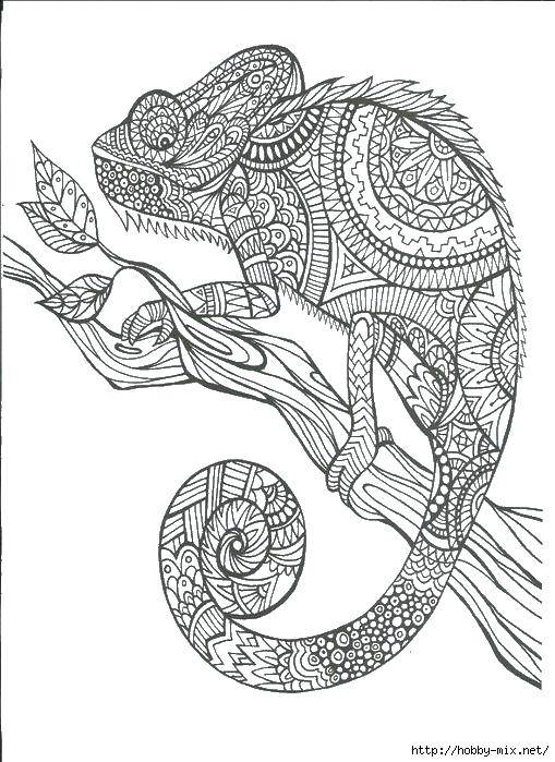 Coloring Coloring antistress. Category coloring antistress. Tags:  patterns, shapes, antistress, chameleon.