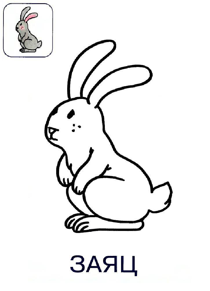 Название: Раскраска Рисунок заяца. Категория: домашние животные. Теги: заяц, кролик.