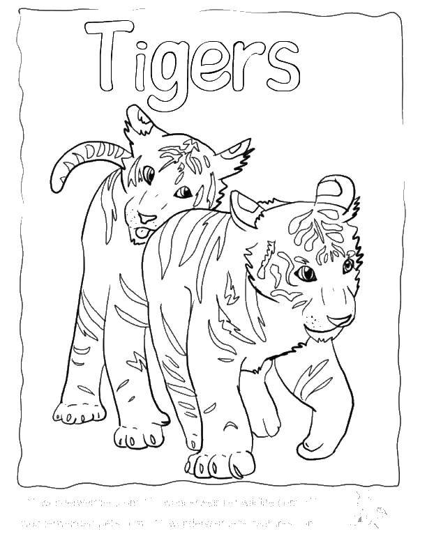 Название: Раскраска Тигрятки. Категория: дикие животные. Теги: Животные, тигр.