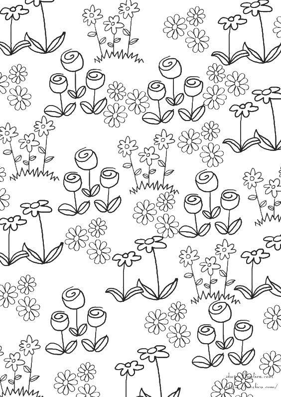 Coloring Flowers. Category Coloring pages for kids. Tags:  flowers, plants, buds, petals.