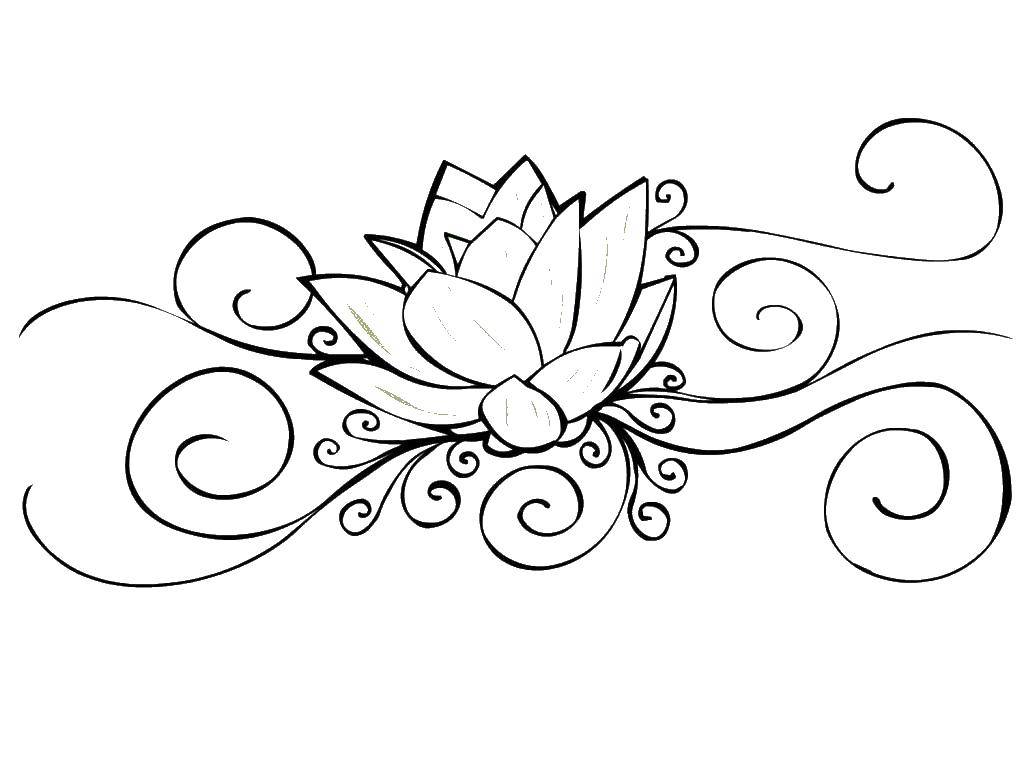 Coloring Water Lily. Category flowers. Tags:  Flowers, water.