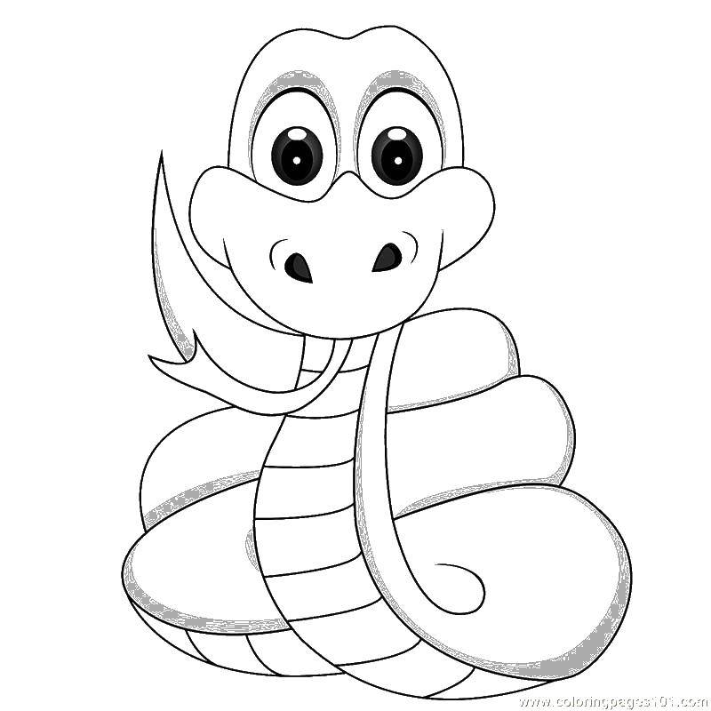 Название: Раскраска Змея очень мила. Категория: Змея. Теги: Рептилия, змея.
