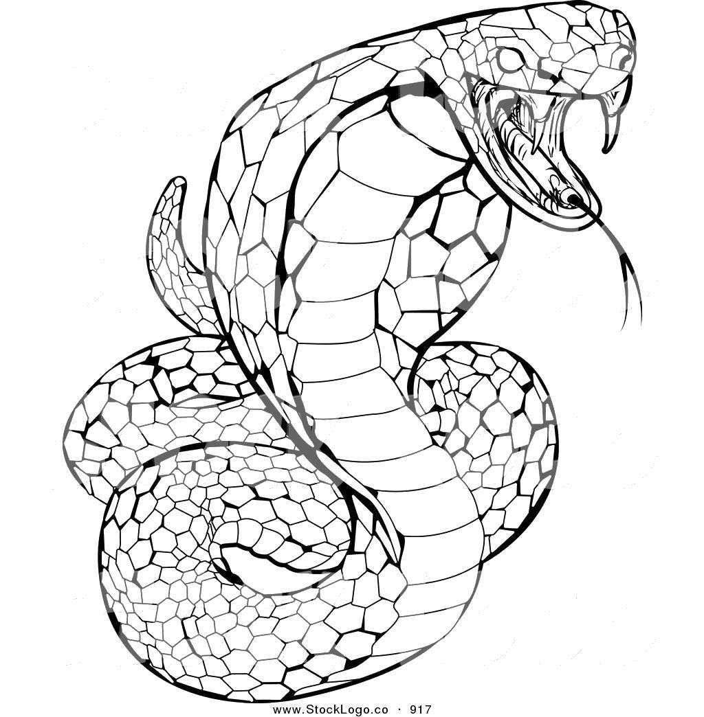 Название: Раскраска Зубастая кобра. Категория: Змея. Теги: Рептилия, змея.