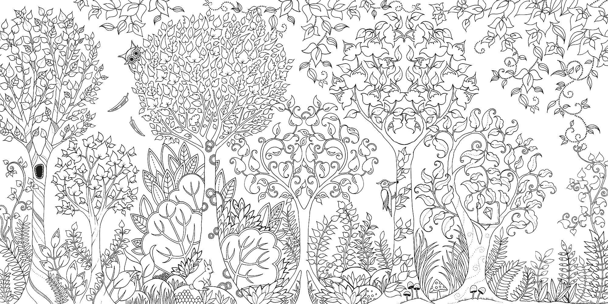 Coloring sheet coloring antistress Download Palma.  Print ,tree,