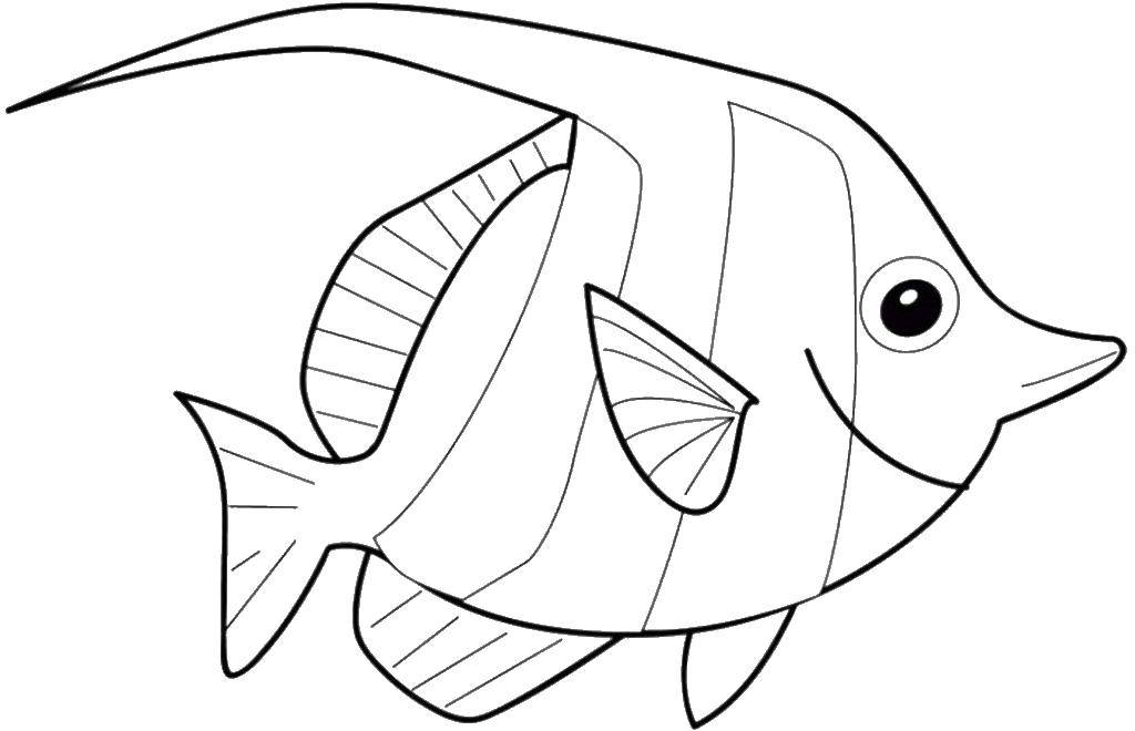 Coloring sheet fish Download the bird, leaves, dragonfly.  Print ,birds,