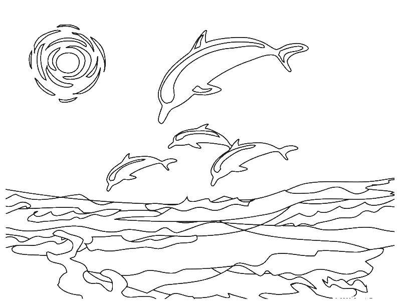 Название: Раскраска Дельфин прыгают. Категория: дельфин. Теги: Дельфины, море.