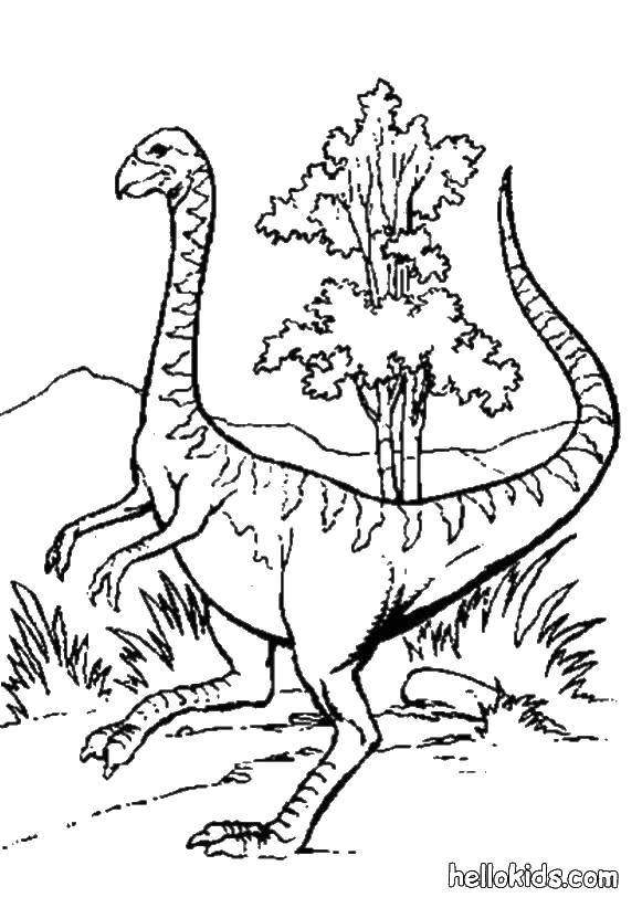 Название: Раскраска Динозавр и природа. Категория: динозавр. Теги: динозавры, природа.