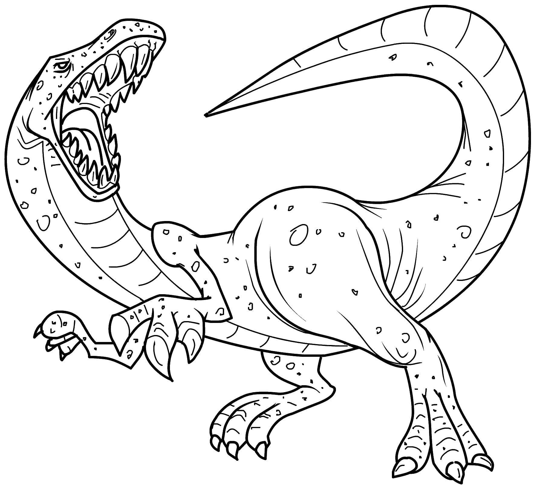 Название: Раскраска Динозавр с открытой пастью. Категория: динозавр. Теги: динозавры, динозавр.