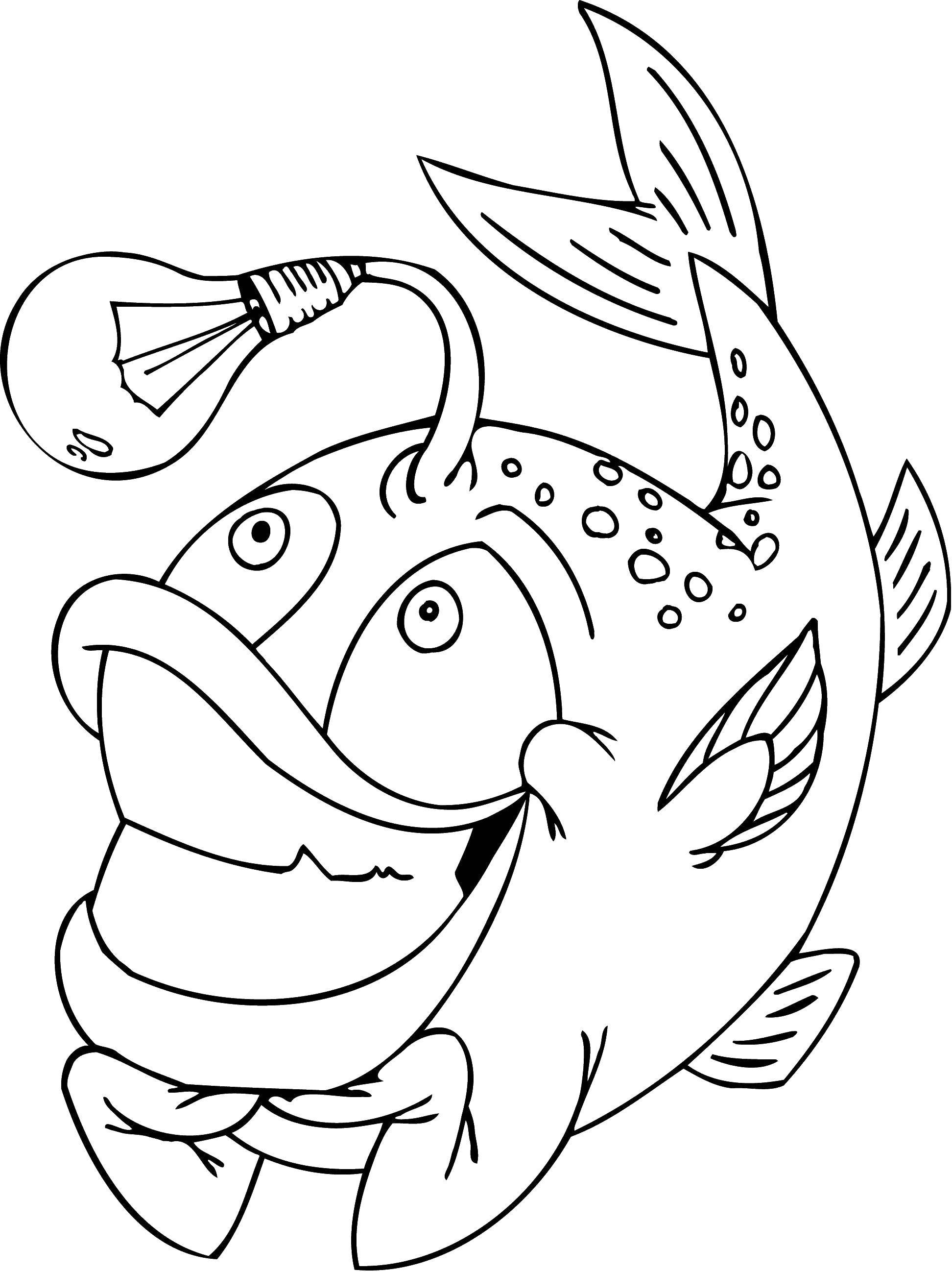 Название: Раскраска Европейский удильщик морской чёрт с фонариком. Категория: морское. Теги: Подводный мир, рыба.