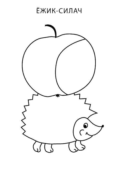 Название: Раскраска Ежик несет яблоко. Категория: Животные. Теги: ежик, яблоко.