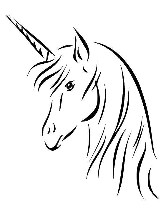 Название: Раскраска Грациозная лошадь единорог. Категория: Волшебные создания. Теги: Волшебное создание.