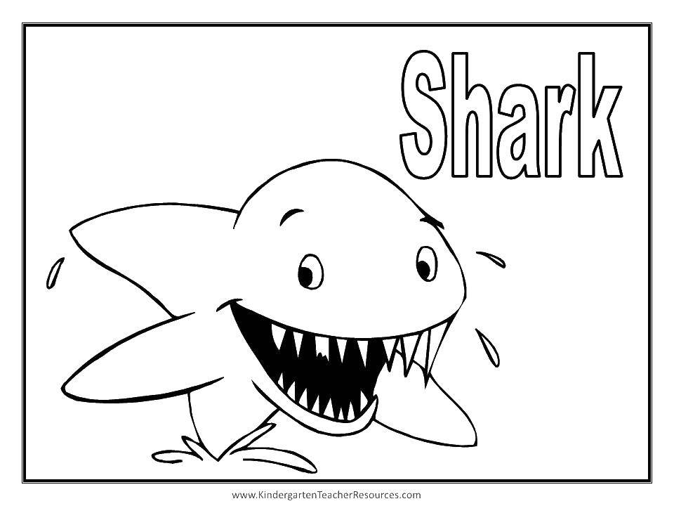 Название: Раскраска Хорошая акула. Категория: Акулы. Теги: акулы, рыбы.