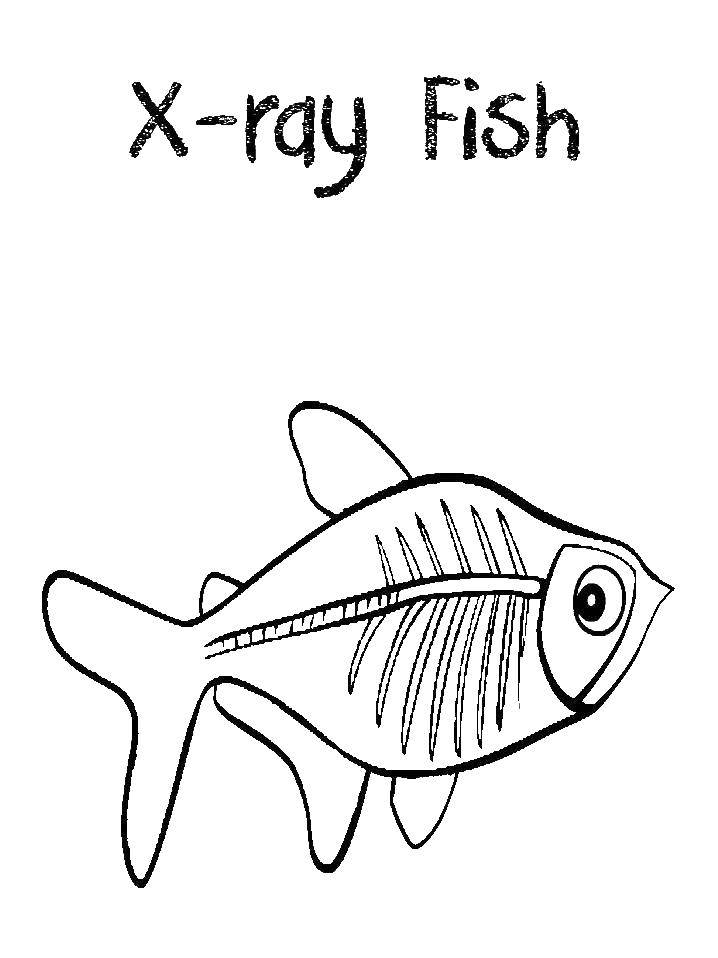 Coloring The fish bones. Category fish. Tags:  fish, ocean.