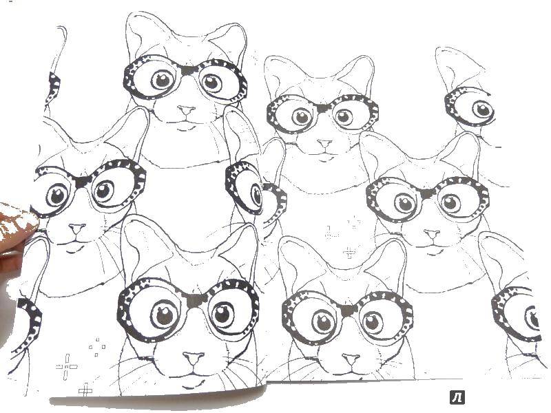 Название: Раскраска Коты в очках. Категория: Кошка. Теги: кот, кошка.