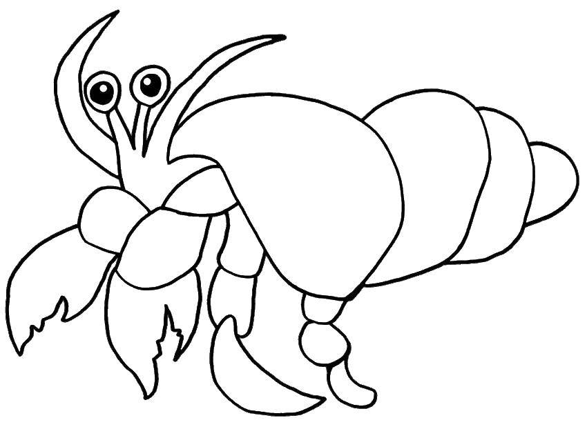 Coloring The hermit crab in the shell. Category Crab. Tags:  crab, hermit, shell.