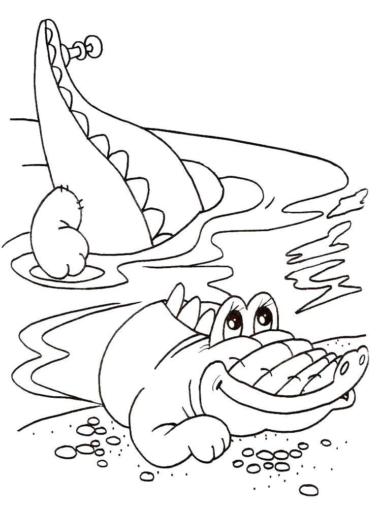 Название: Раскраска Крокодил в воде. Категория: крокодил. Теги: животные, крокодил, вода.