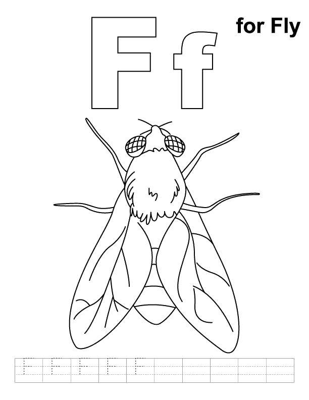 Coloring M fly. Category English alphabet. Tags:  The alphabet, letters, words.