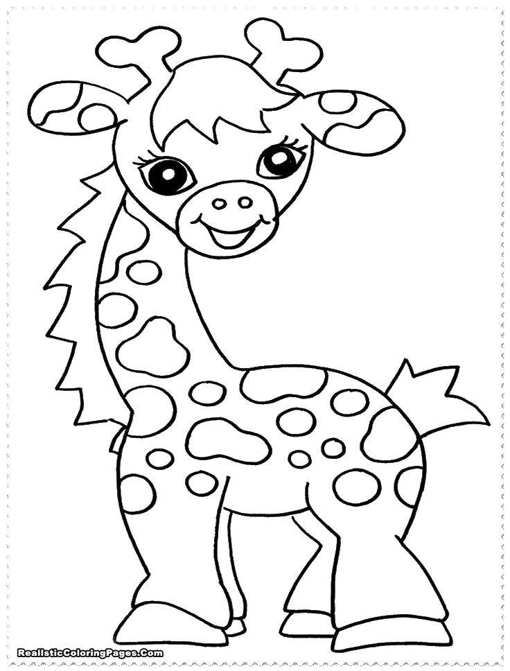 Название: Раскраска Маленький жираф. Категория: раскраски. Теги: животные, жирафы, африка.
