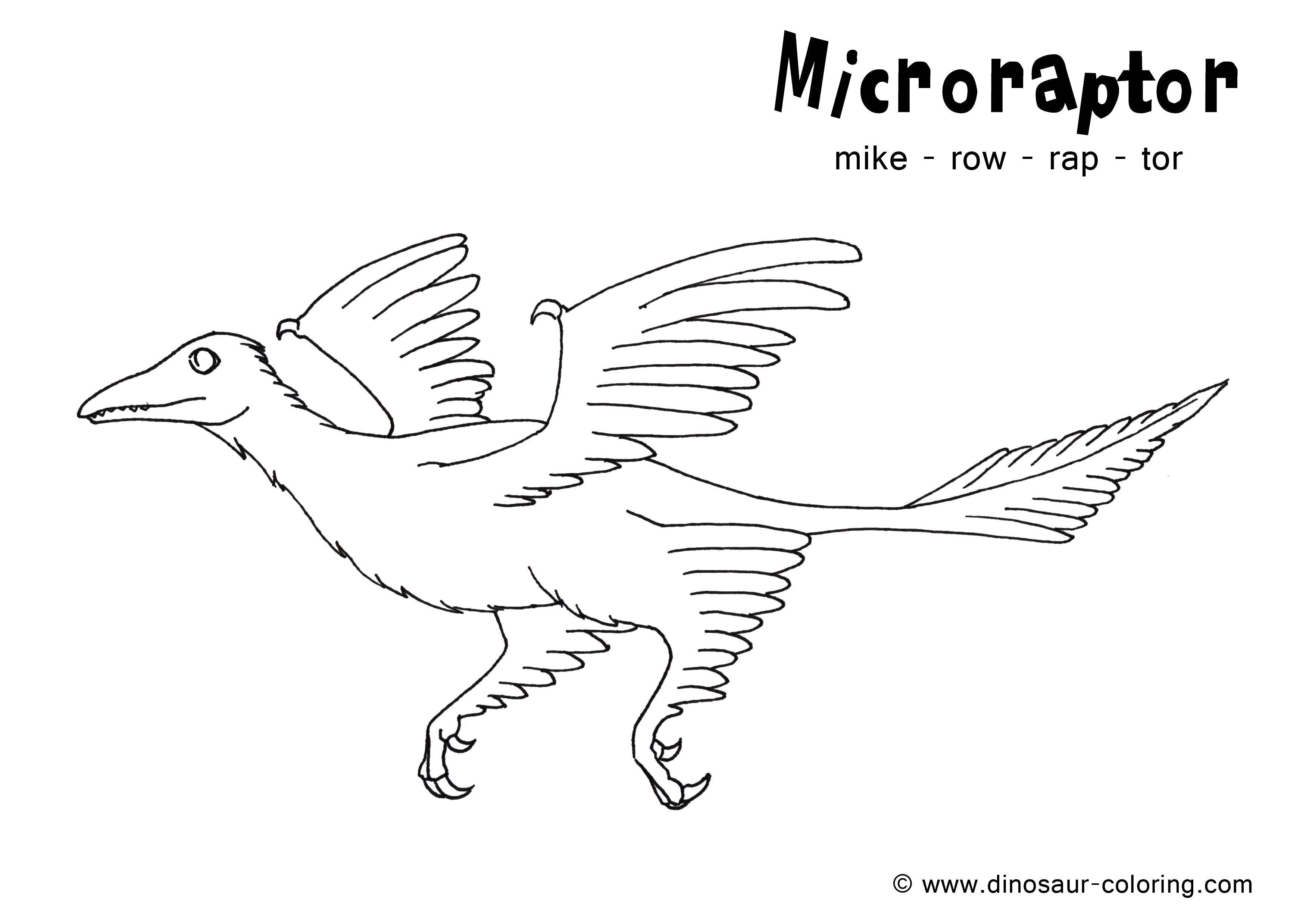 Coloring Microraptor. Category dinosaur. Tags:  dinosaurs, wings.
