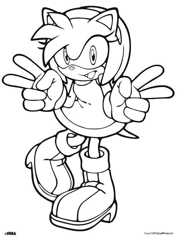Coloring Mila. Category cartoons. Tags:  cartoons, sonic x, sweet.