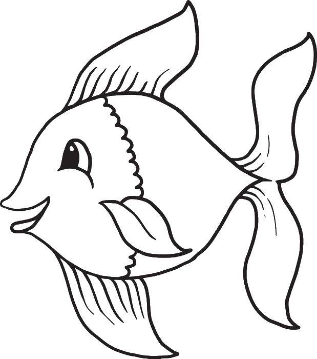 Название: Раскраска Милая рыбка. Категория: рыбы. Теги: рыбы, рыбки.