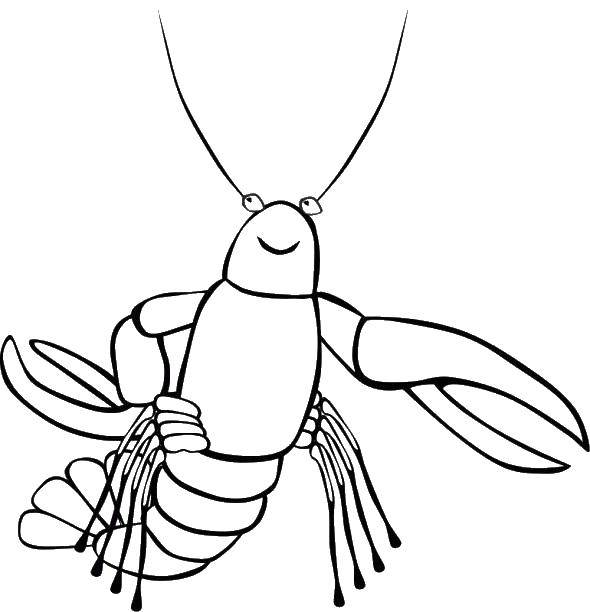 Coloring Cute lobster. Category coloring. Tags:  marine life, lobster.