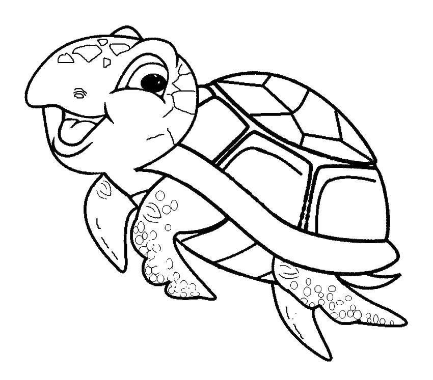Coloring Sea turtle smiling. Category Sea turtle. Tags:  Reptile, turtle.