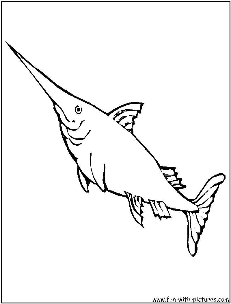 Название: Раскраска Острый меч акулы. Категория: раскраски. Теги: Подводный мир, рыба.