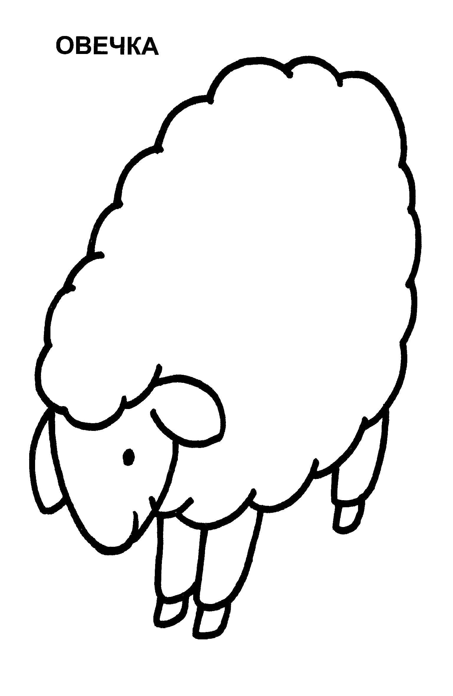 Название: Раскраска Овечка. Категория: Животные. Теги: овечка.