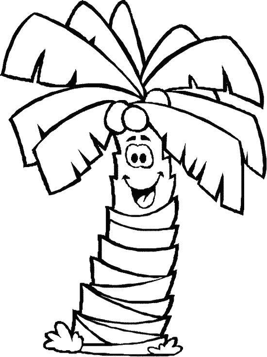 Название: Раскраска Пальма с кокосами на дереве. Категория: Пляж. Теги: пляж, пальма.