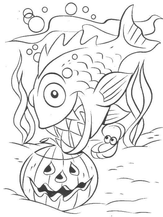 Coloring Piranhas on Halloween. Category coloring. Tags:  Halloween, pumpkin.