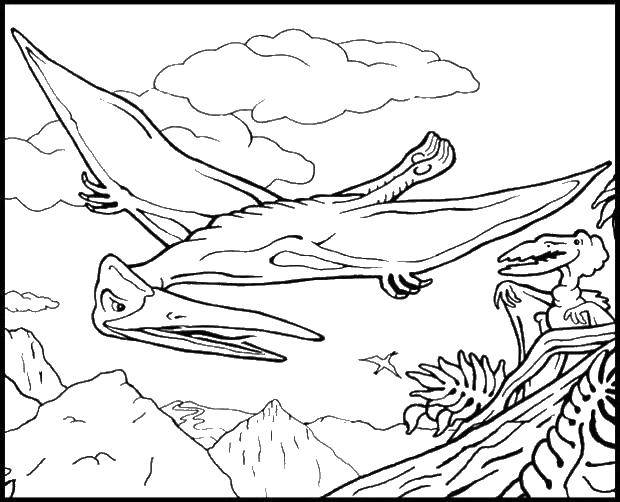 Название: Раскраска Птеродактиль летит. Категория: динозавр. Теги: динозавры, динозавр, крылья.