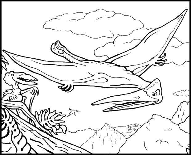 Coloring Pterodactyl. Category dinosaur. Tags:  dinosaurs , pterodactyls.