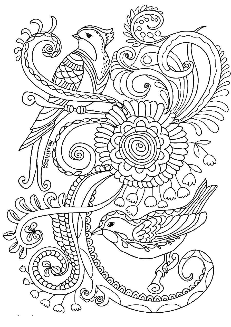 Coloring Birds on a flower. Category patterns. Tags:  flowers, birds.