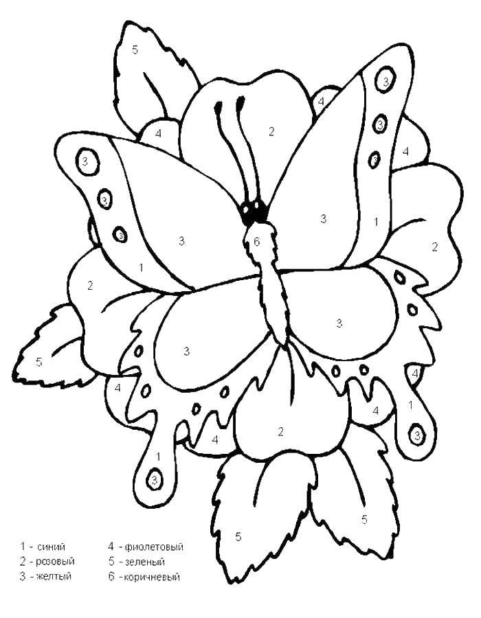 Название: Раскраска Раскрась бабочку по номерам.. Категория: по номерам. Теги: бабочки, по номерам, по цифрам.