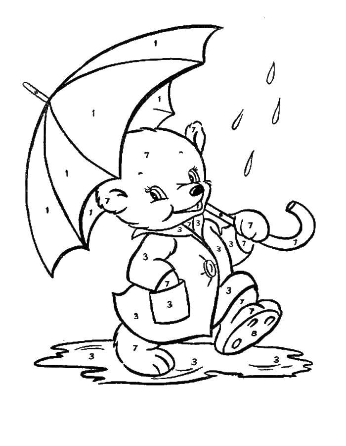 Название: Раскраска Раскрась мишку с зонтиком по номерам. Категория: по номерам. Теги: по номерам, мишка, зонтик.