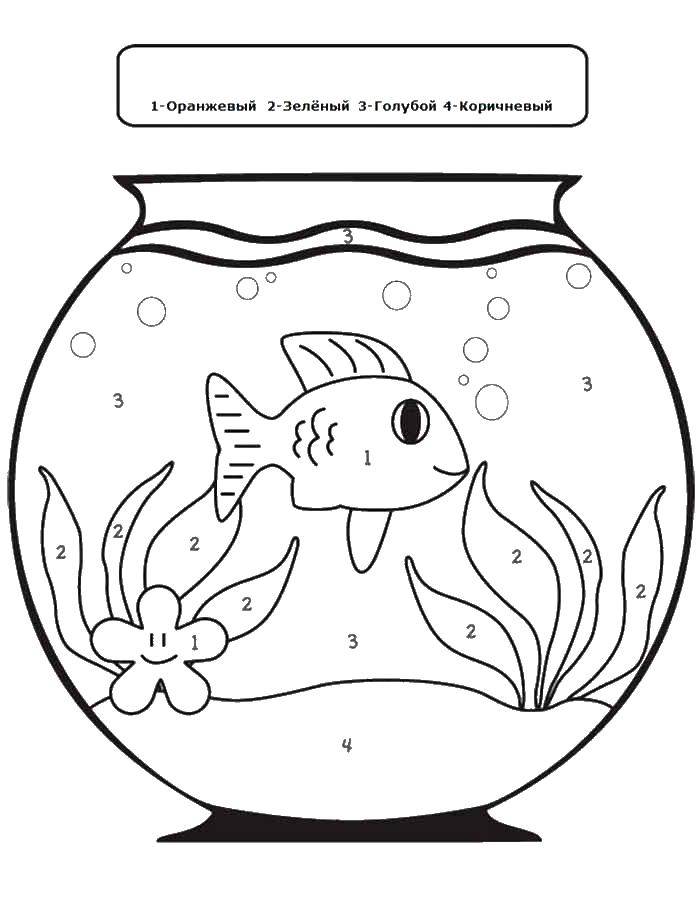 Coloring Paint a fish by the numbers. Category that number. Tags:  fish, aquarium, by the numbers.