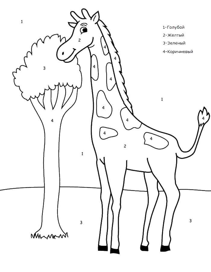 Название: Раскраска Раскрась жирафа по номерам. Категория: по номерам. Теги: по номерам, жираф, дерево.