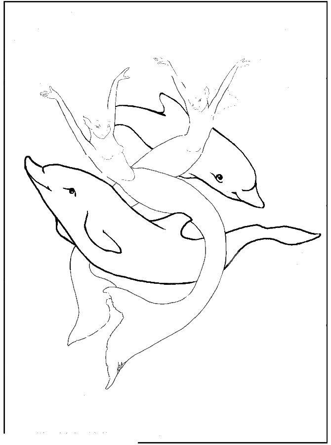 Название: Раскраска Русалки плавают с дельфинами. Категория: дельфин. Теги: Дельфины, русалки.