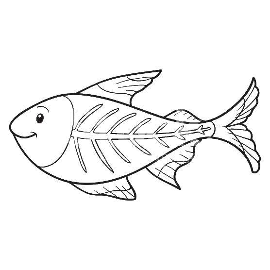 Название: Раскраска Рыба с костями. Категория: рыбы. Теги: рыба, кости.