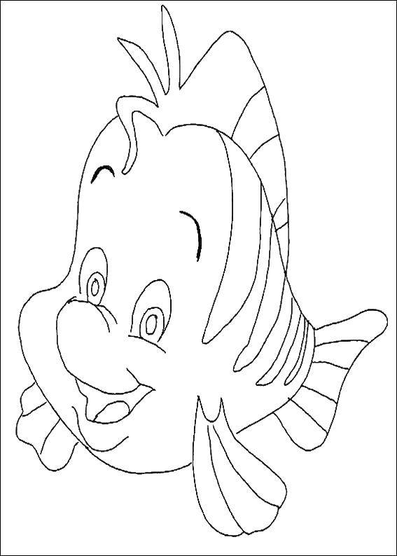 Coloring Fish from little mermaid.. Category The little mermaid. Tags:  the little mermaid, Ariel, Pisces.