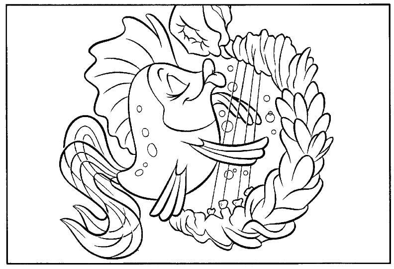 Название: Раскраска Рыбка с виолончелью. Категория: рыбы. Теги: рыбы, виолончель, инструменты.