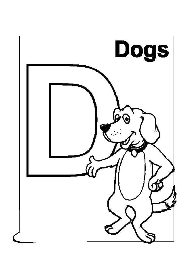 Название: Раскраска С собаки. Категория: Английский алфавит. Теги: Алфавит, буквы, слова.