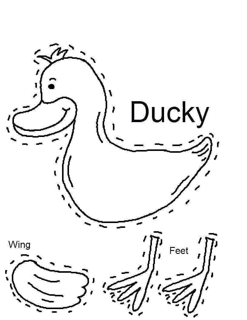 Coloring Collect the duck. Category Stencils for cutting out. Tags:  Duck, bird.