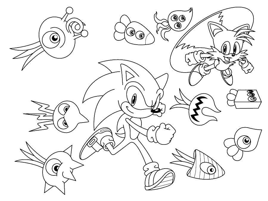 Coloring Sonic and other characters. Category cartoons. Tags:  cartoons, sonic x cartoon.