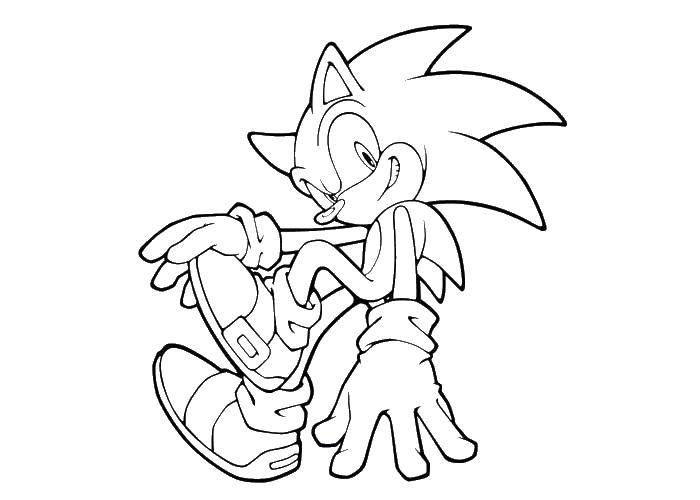 Coloring Sonic.. Category cartoons. Tags:  cartoons, sonic, x.