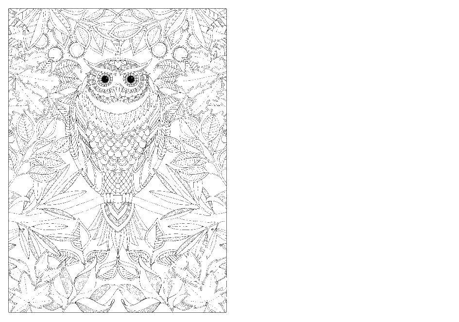 Coloring Owl. Category coloring antistress. Tags:  Owl.