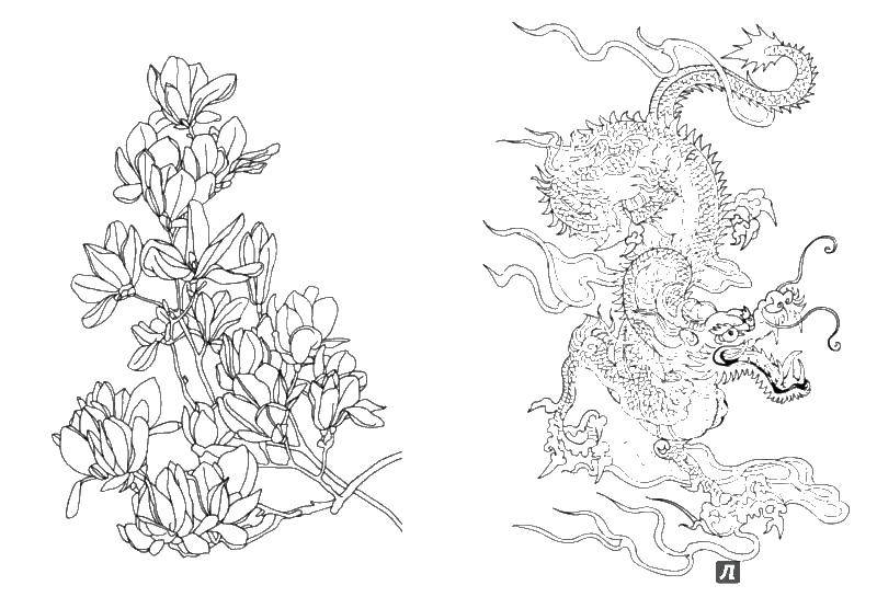 Coloring Flowers and dragon. Category coloring antistress. Tags:  dragon, flowers.