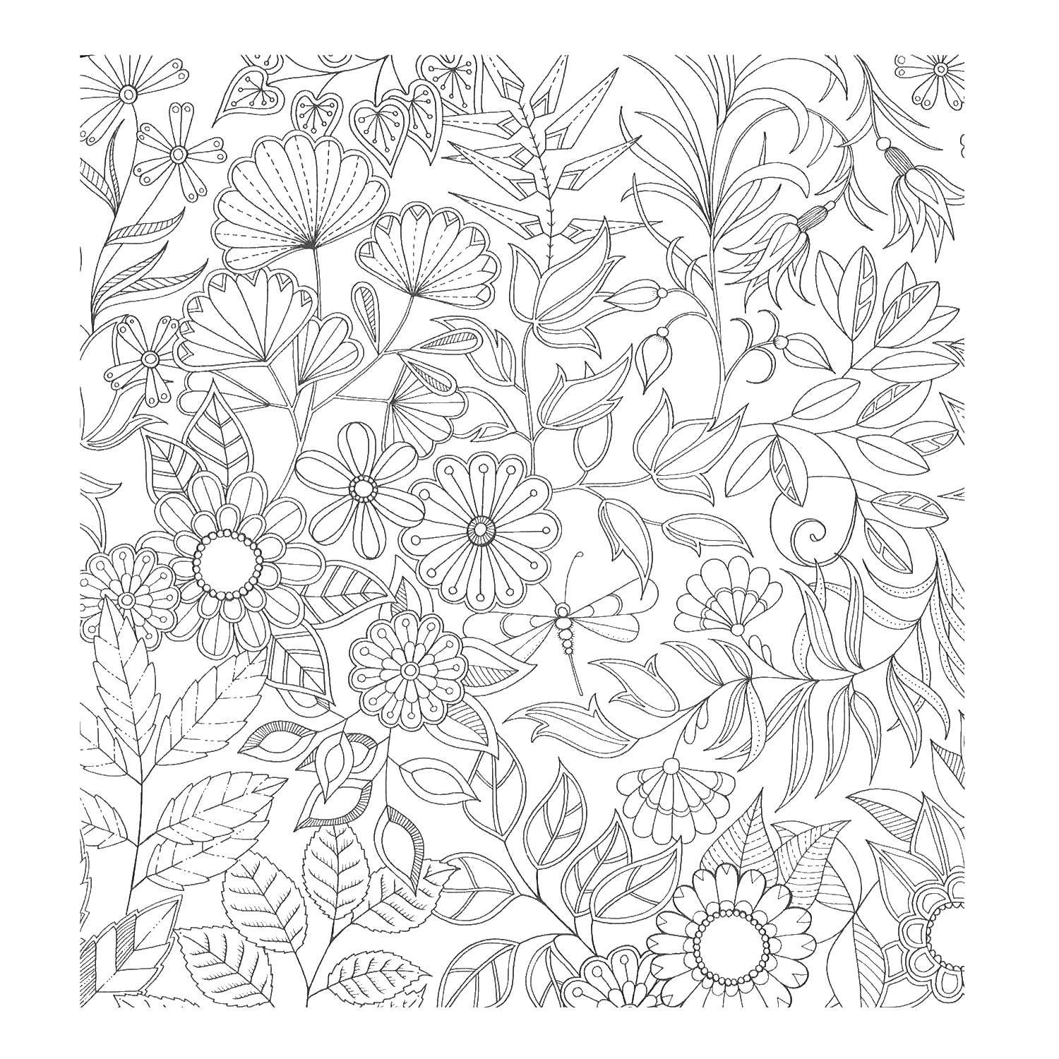 Coloring Flowers. Category coloring antistress. Tags:  flowers.
